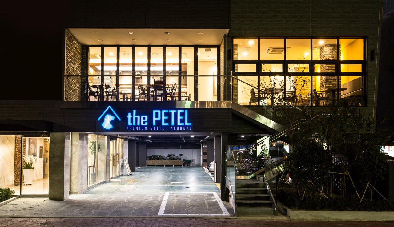 The Petel Premium Suite Busan Exterior photo