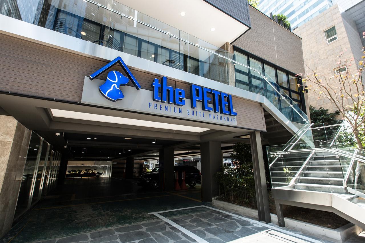 The Petel Premium Suite Busan Exterior photo